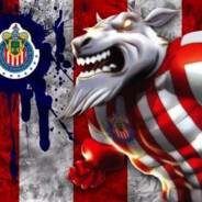 ARRIBA LAS CHIVAS