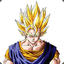 vegetto29