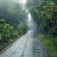 Rain.Wonderer