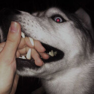 graphic tablet player sorry