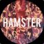 HAMSTER