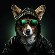 Твой любимец