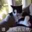 M1N9_小猪