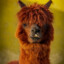 LaMa