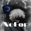 NeFor