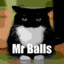 Mr balls