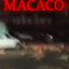 ALERTA DO MACACO LOUCO 🐒🐒