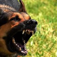 1 VAC ban on record| Info5 day