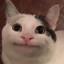 Orb