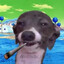 INDIO MILLONARIO