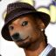 Snoop the Doge