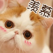 猫仙人