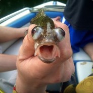 Epileptic Fish
