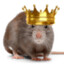 The Rat King
