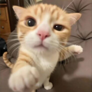 ciech - steam id 76561199205359051