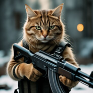 Kot