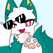 猫崽安宁的丈夫炎技