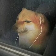 反方向的张有志