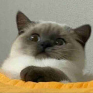 🇱​​​​​🇺