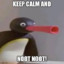 NootNoot