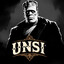 Unsi