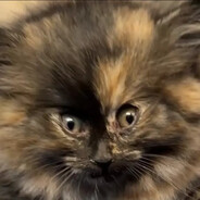 Надувательство