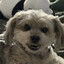 RAW DAWGGY