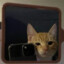 megabyte