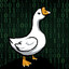 ItsDeveloper