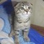 andrey.rodrigo228