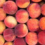 Fresh Peaches