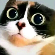 блинк в деревню - steam id 76561198968149327