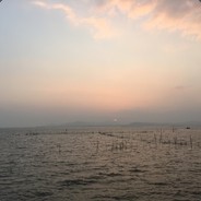 厉害啊.这菊 ₆₆₆₆