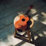 我有一条哮天犬