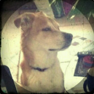 十里肩不换山路