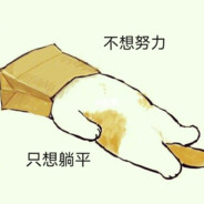 蓝色蔷薇花