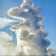 小熊饼干大盗🍪