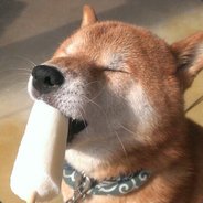 POPSICLE DOG