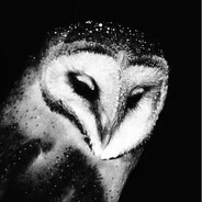 ST 1026 Shibbler Chiropractor