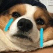 你是我唯一想要的了解