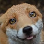 RedHairedFox