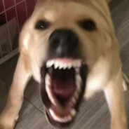 等你出手，我自会阻拦