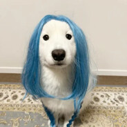 ඞDog taped to a keybordඞ