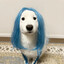 ඞDog taped to a keybordඞ