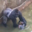 T_O's avatar