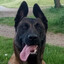 Jeedi le malinou