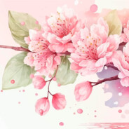 Shinobi Reflex | Twitch