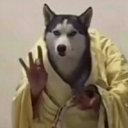 不会摆短的航、