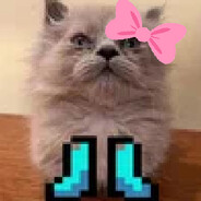 Невесомостечка😺