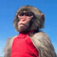 pipap_ten's avatar